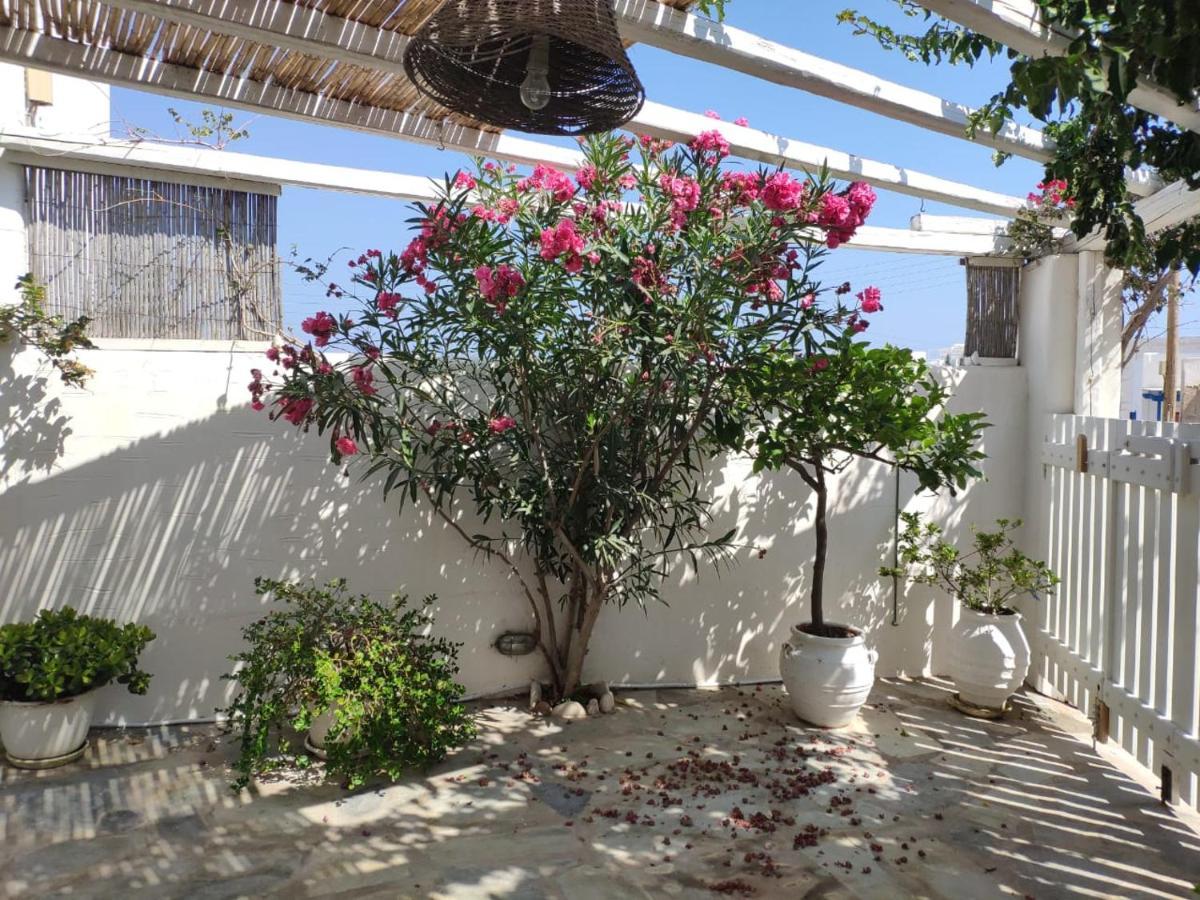 فيلا Lydia'S Charming House In Naoussa المظهر الخارجي الصورة